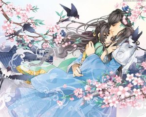 义
